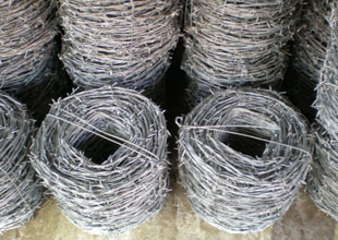 KƬ̾W(wng)-03